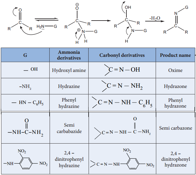 Chemical Properties of Aldehydes and Ketones img 7