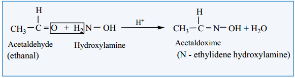 Chemical Properties of Aldehydes and Ketones img 8