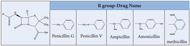 Chemistry In Everday Life of Drug and its Types img 1