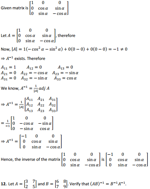 NCERT Solutions for Class 12 Maths Chapter 4 Determinants Ex 4.5 11