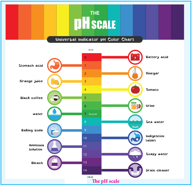 The pH Scale img 1