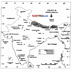 Class 10 Geography Chapter 2 Extra Questions And Answers Forest And ...