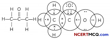 Covalent Bonding in Carbon Definitions, Equations and Examples 7