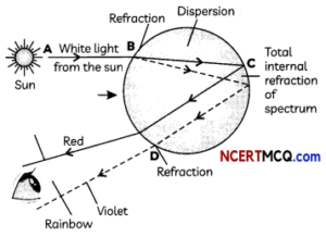 Dispersion of White Light By A Glass Prism Definitions, Equations and ...