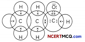 Functional Groups Definitions, Equations and Examples 3