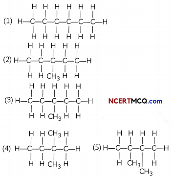 Hydrocarbons Definitions, Equations and Examples 11