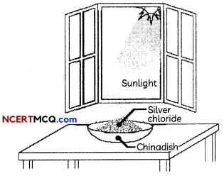 MCQ Questions for Class 10 Science Chapter 1 Chemical Reactions and Equations with Answers 7