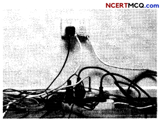 MCQ Questions for Class 10 Science Chapter 13 Magnetic Effects of Electric Current with Answers 29
