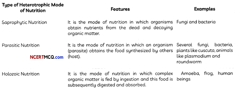 Nutrition Definitions, Equations and Examples 3