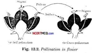 Online Education For Reproduction In Plants Class 7 Extra Questions And ...