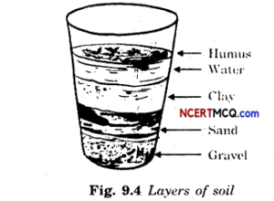 Online Education for Soil Class 7 Extra Questions and Answers Science ...