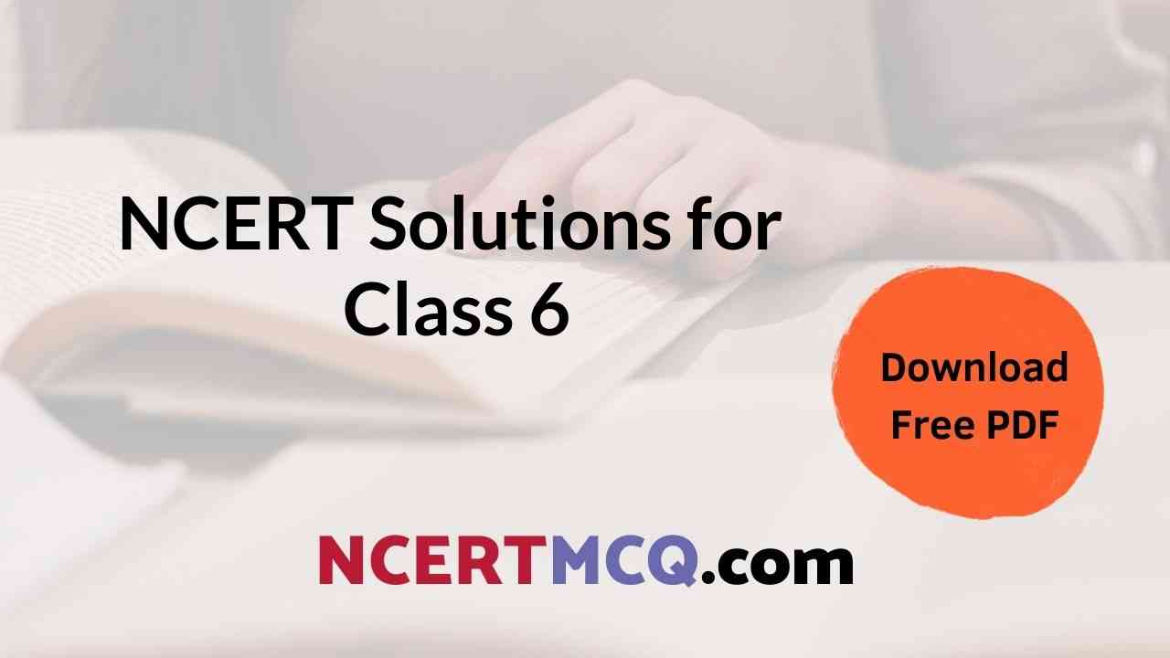 NCERT Solutions for Class 6