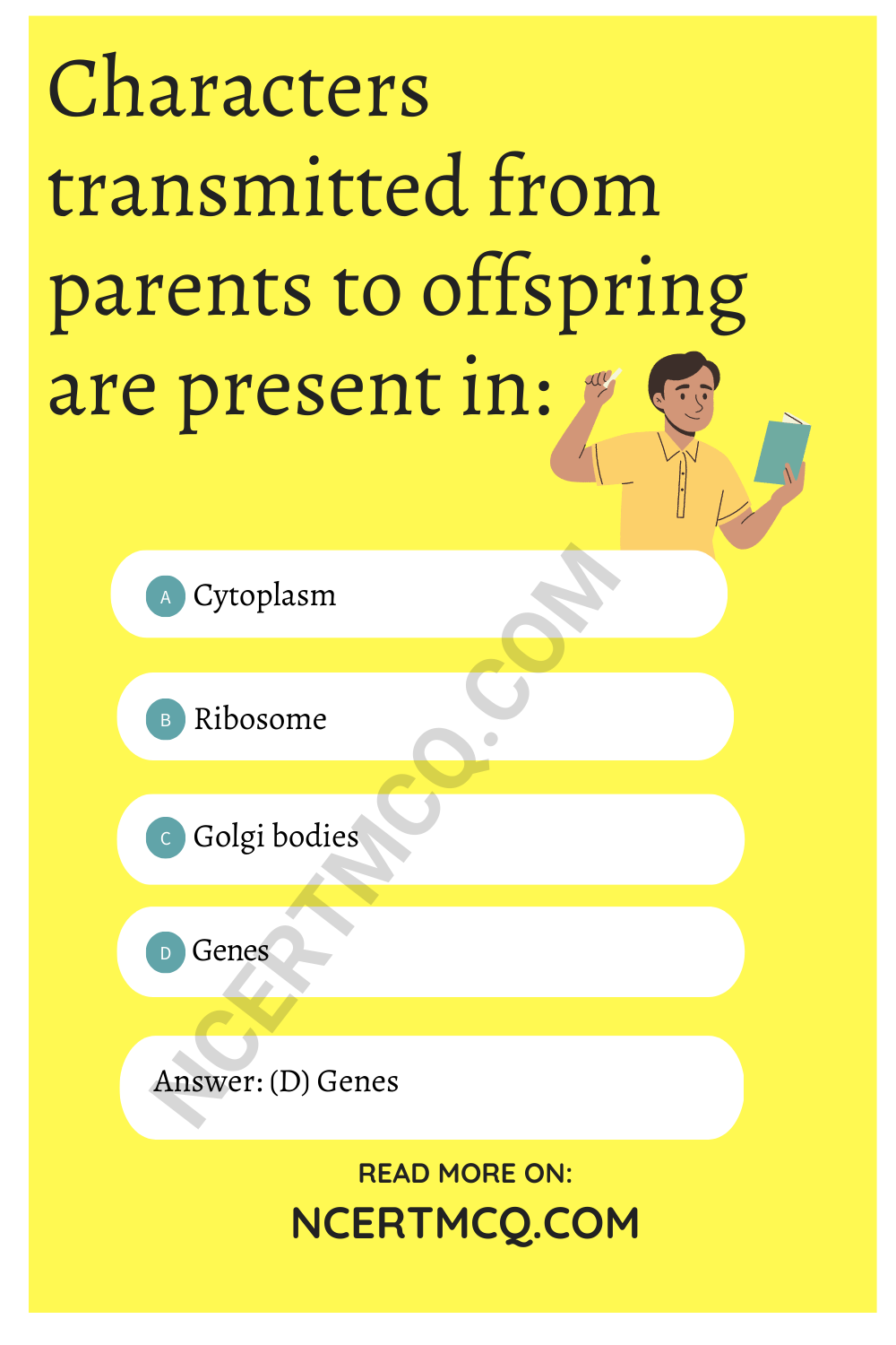 Characters transmitted from parents to offspring are present in: