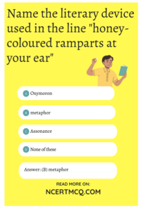 For Anne Gregory Class 10 MCQ Questions With Answers English Poem 11 ...