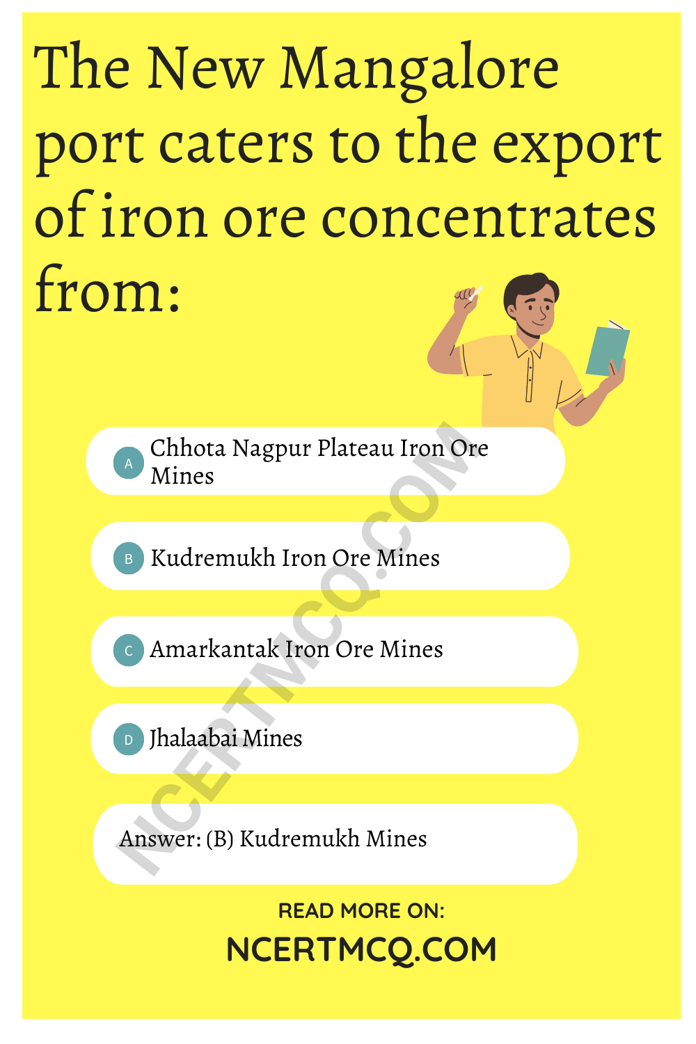 The New Mangalore port caters to the export of iron ore concentrates from: