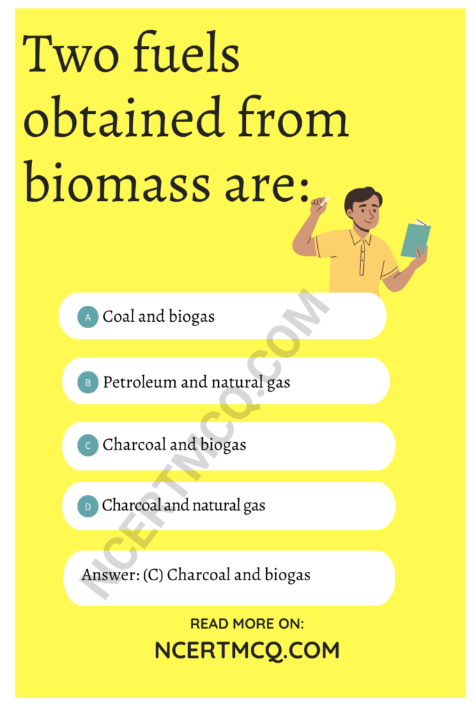 MCQ Questions for Class 10 Science Chapter 14 Sources of Energy with