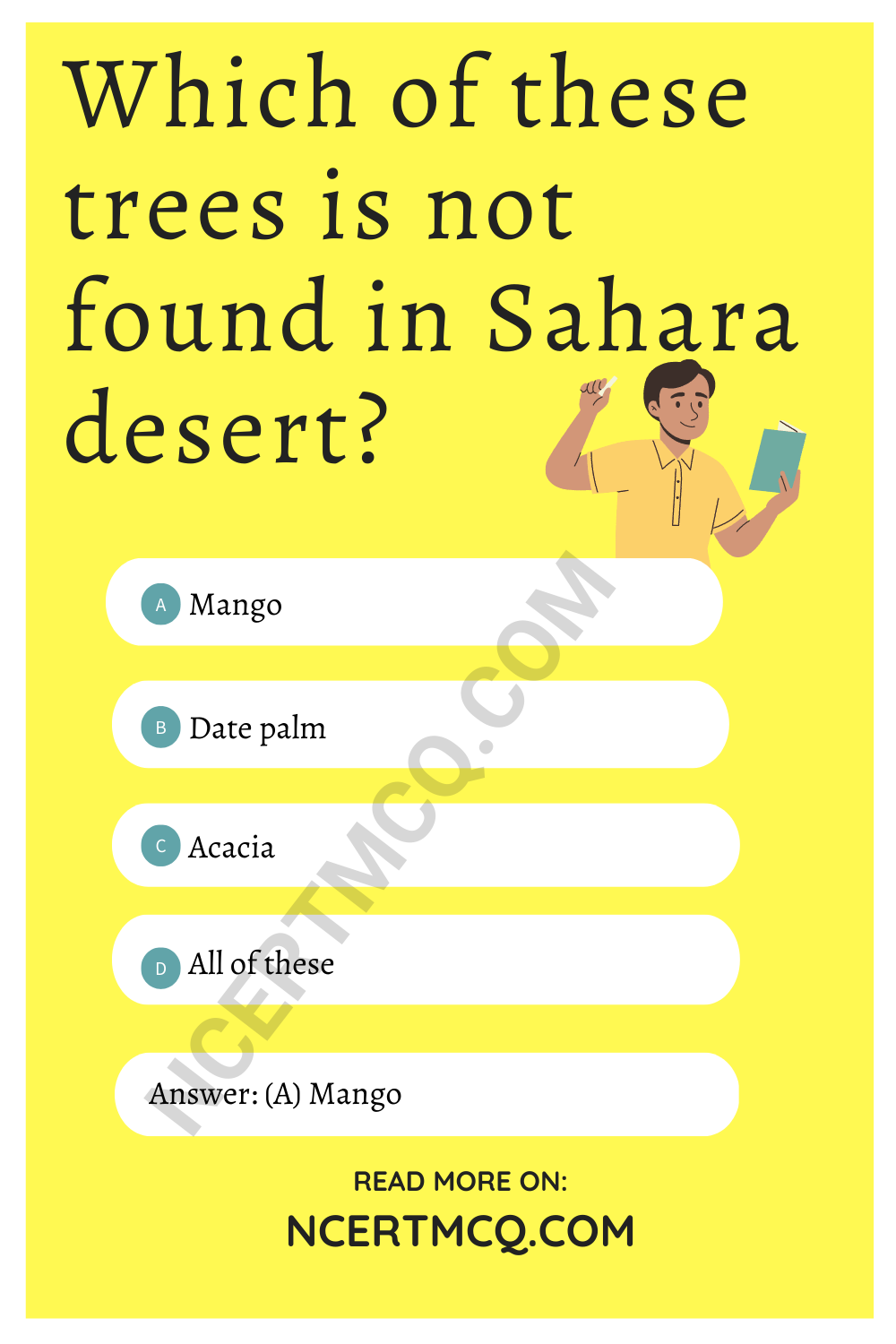 Which of these trees is not found in Sahara desert?