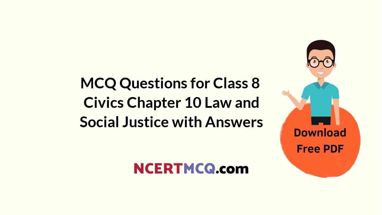 MCQ Questions for Class 8 Civics Chapter 10 Law and Social Justice with Answers