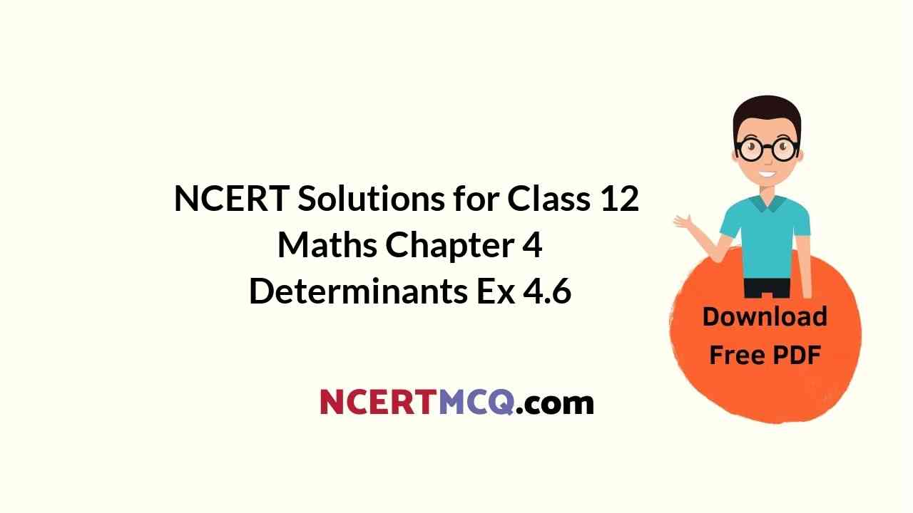 NCERT Solutions for Class 12 Maths Chapter 4 Determinants Ex 4.6