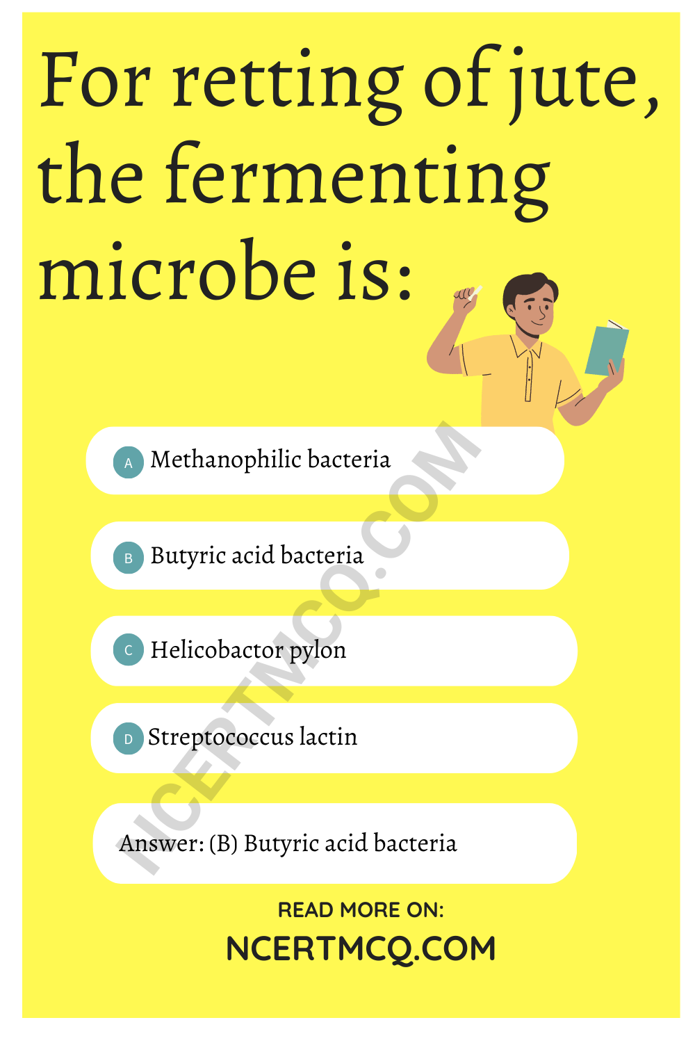 For retting of jute, the fermenting microbe is: