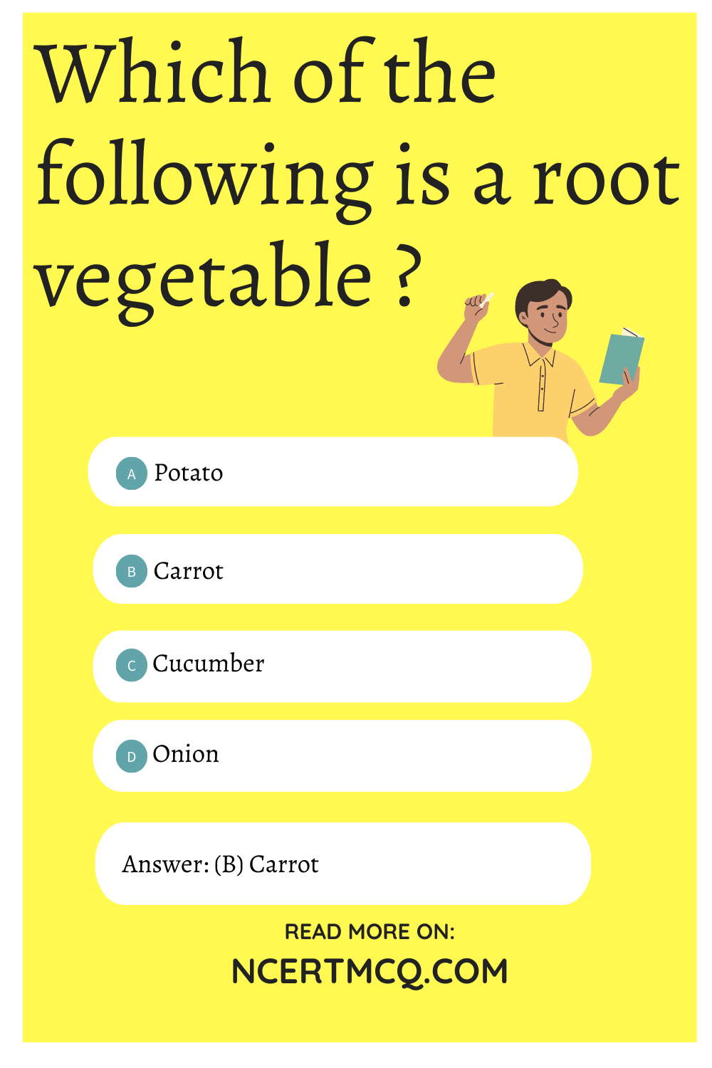 Which of the following is a root vegetable ?