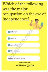 Indian Economy On The Eve Of Independence Class 12 MCQ Online Test With ...