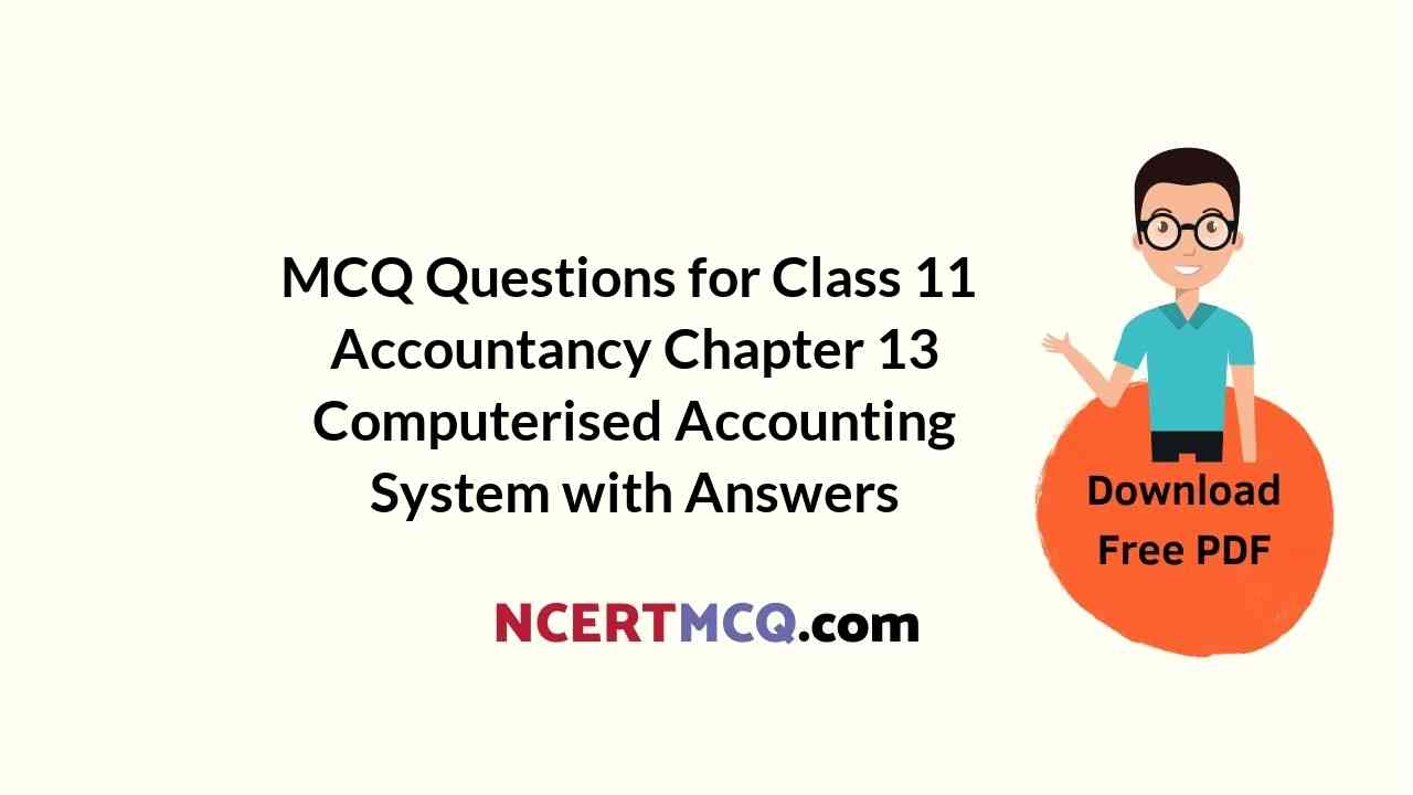 MCQ Questions for Class 11 Accountancy Chapter 13 Computerised Accounting System with Answers