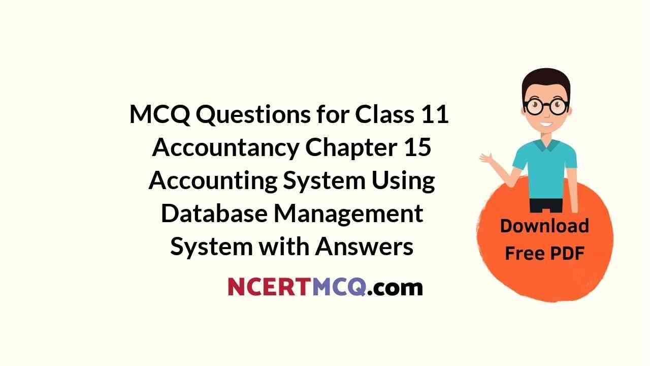 MCQ Questions for Class 11 Accountancy Chapter 15 Accounting System Using Database Management System with Answers