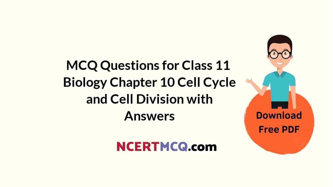MCQ Questions for Class 11 Biology Chapter 10 Cell Cycle and Cell Division with Answers