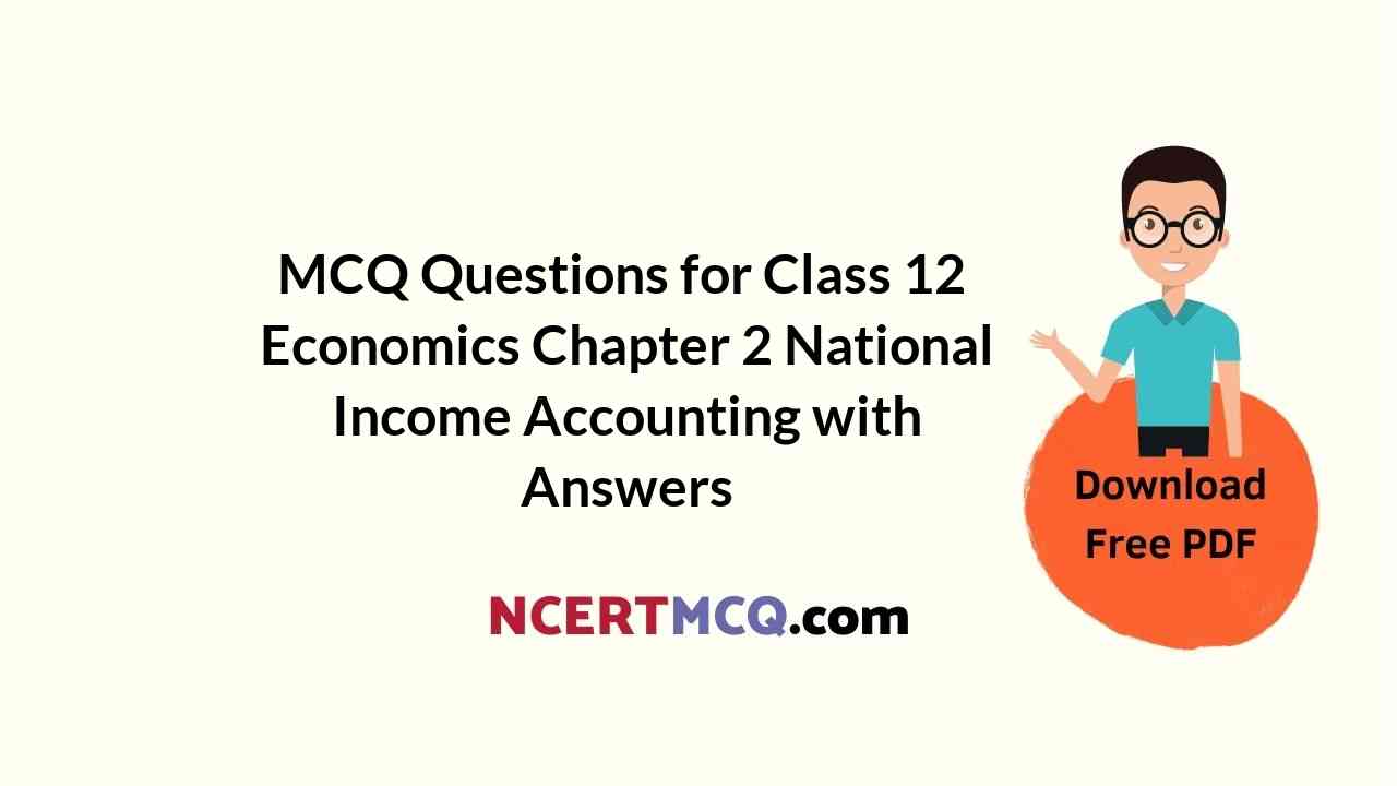 MCQ Questions for Class 12 Economics Chapter 2 National Income Accounting with Answers