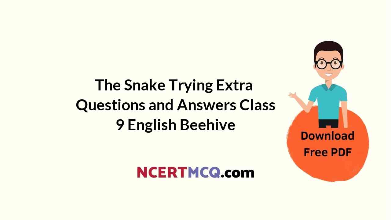 The Snake and the Mirror Extra Questions and Answers Class 9 English Beehive