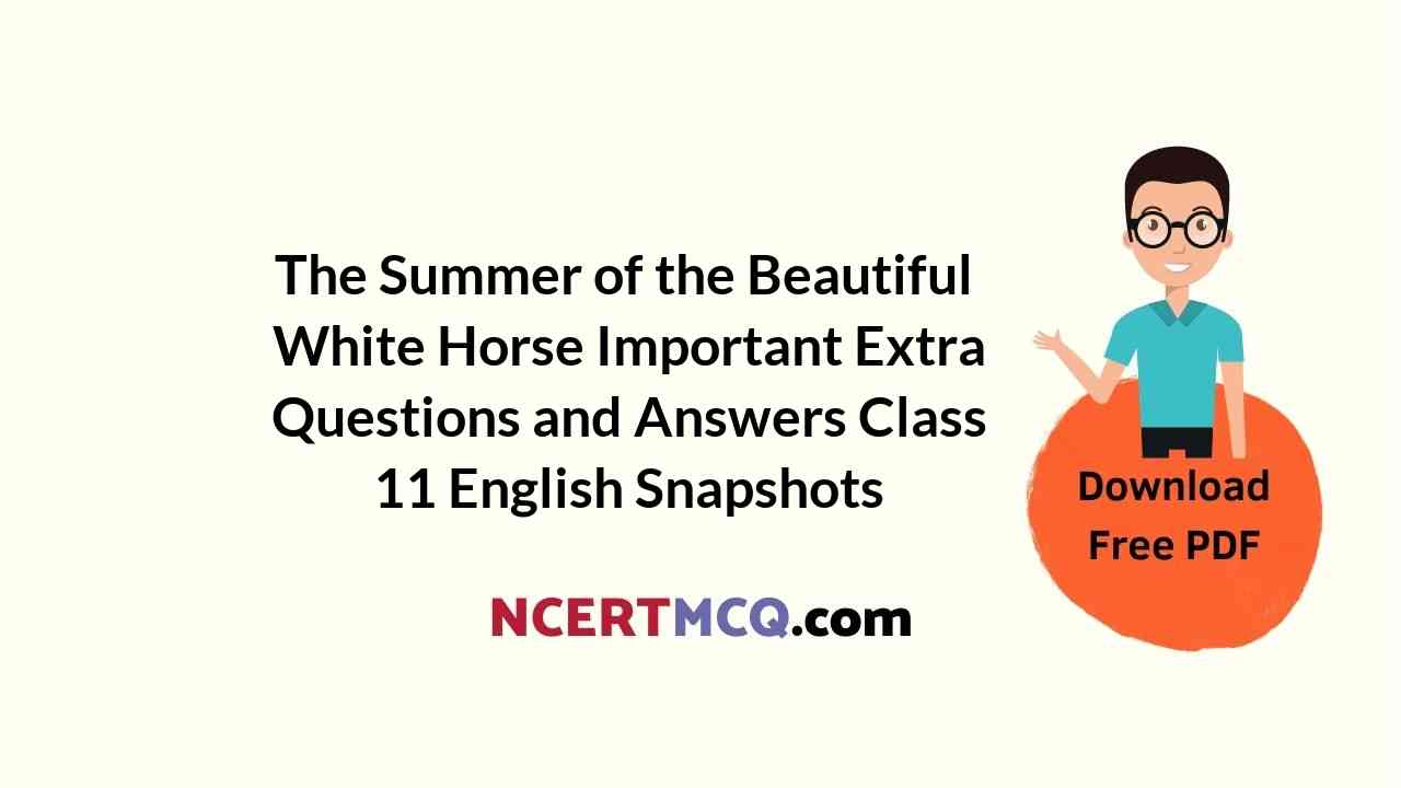 The Summer of the Beautiful White Horse Important Extra Questions and Answers Class 11 English Snapshots