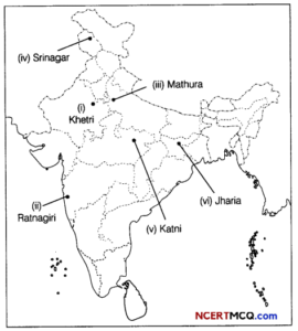 CBSE Sample Papers For Class 12 Geography Term 2 Set 2 With Solutions ...