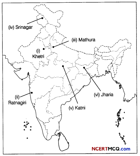CBSE Sample Papers for Class 12 Geography Term 2 Set 2 with Solutions 1