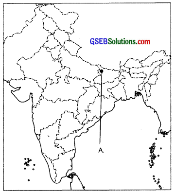 CBSE Sample Papers for Class 12 History Term 2 Set 2 with Solutions 1 (2)