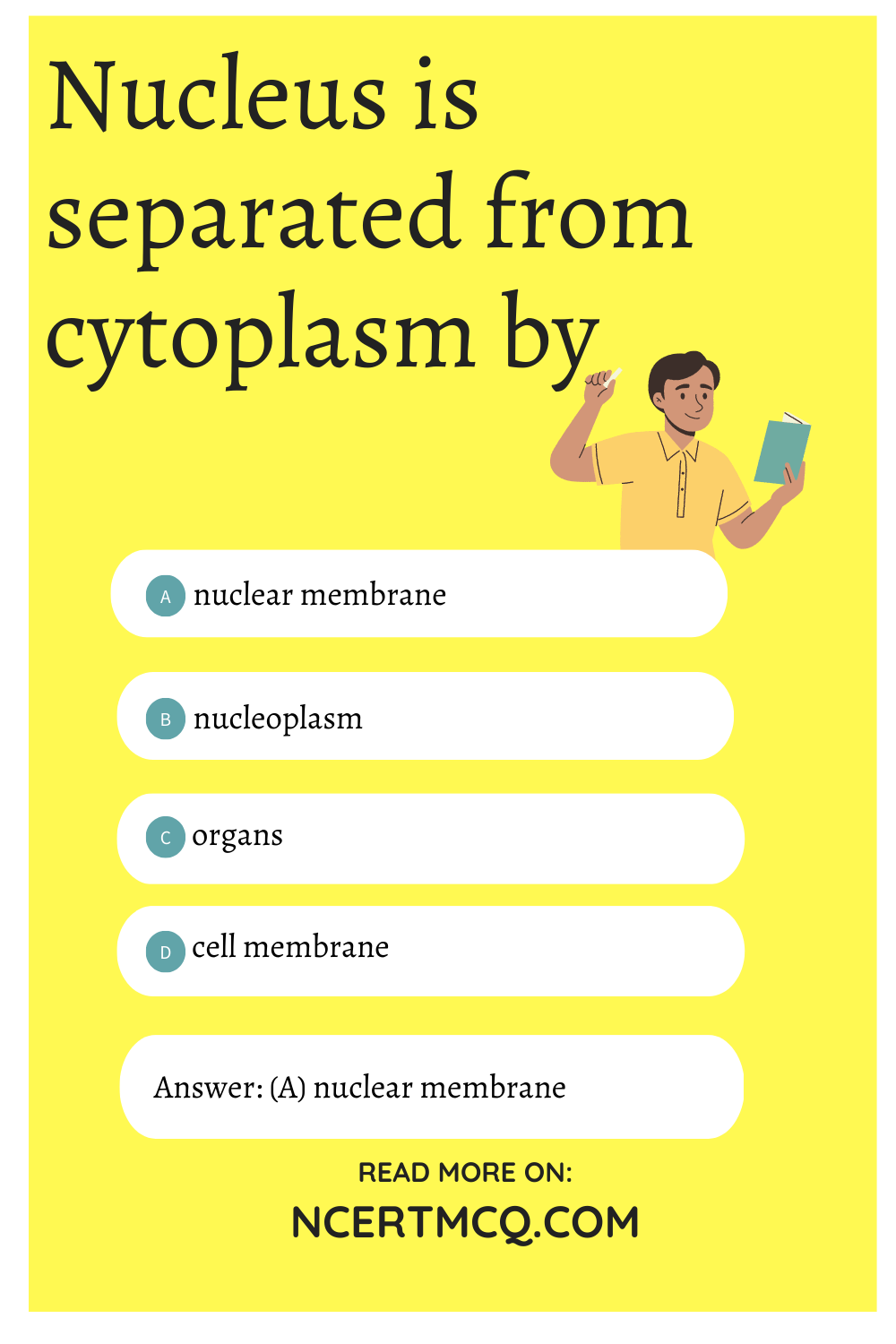 Nucleus is separated from cytoplasm by