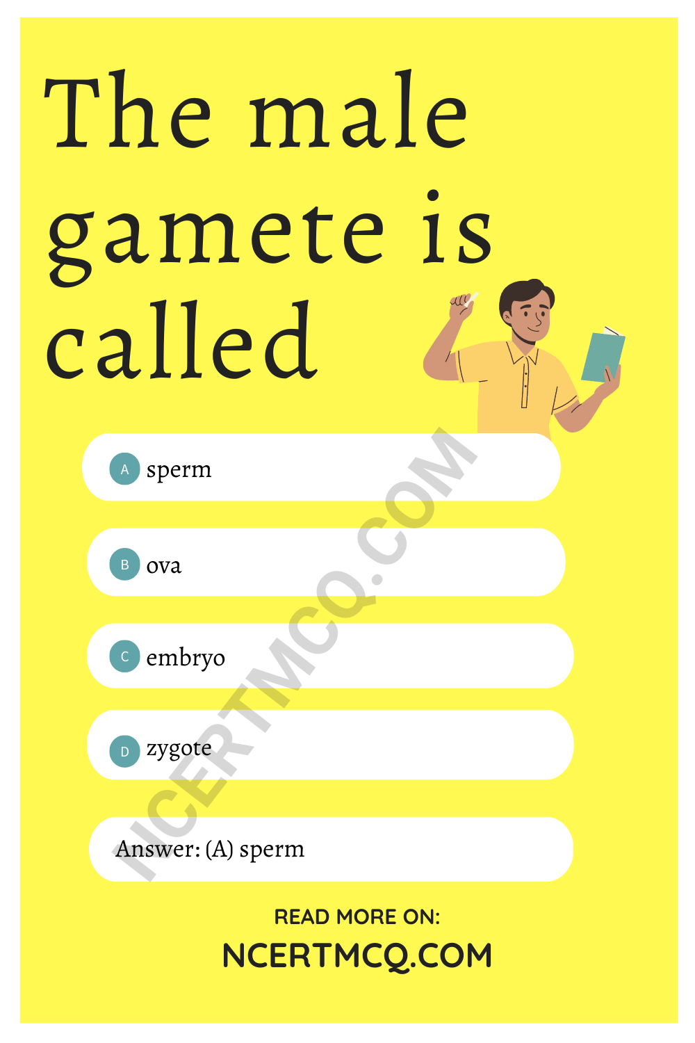 The male gamete is called