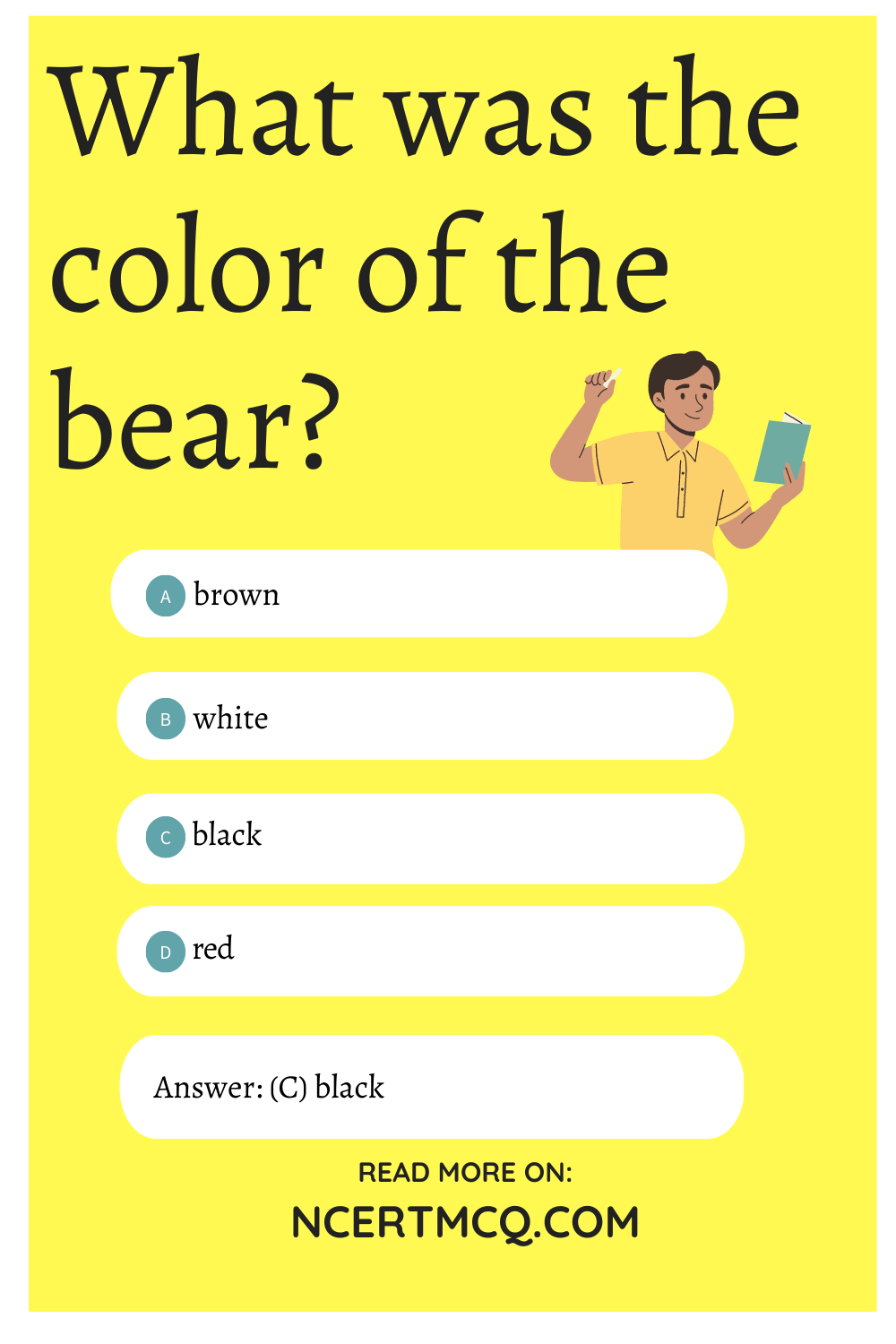What was the color of the bear?