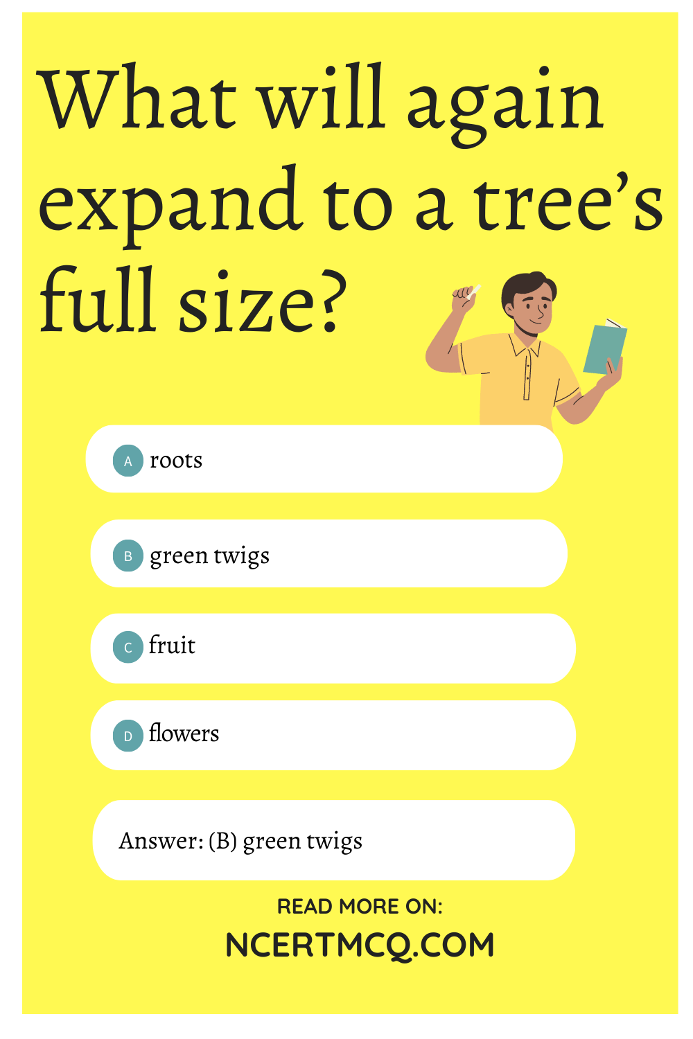 What will again expand to a tree’s full size?