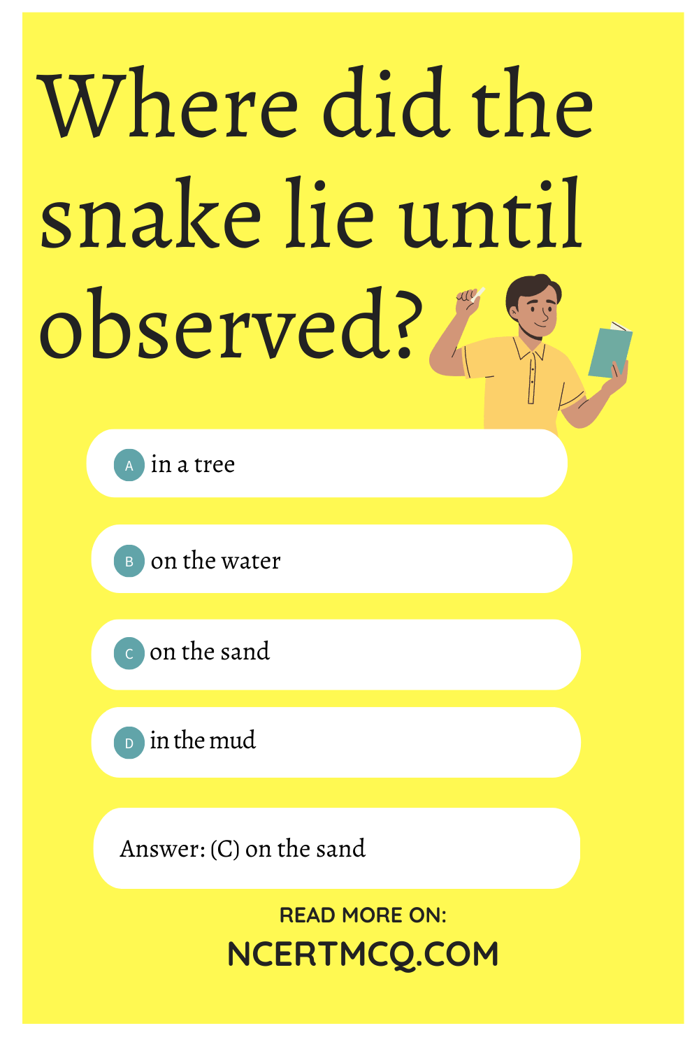 Where did the snake lie until observed?