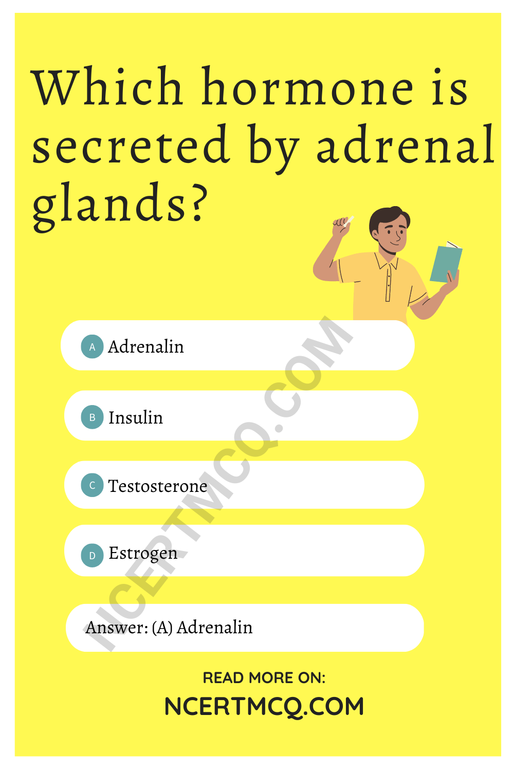 Which hormone is secreted by adrenal glands?