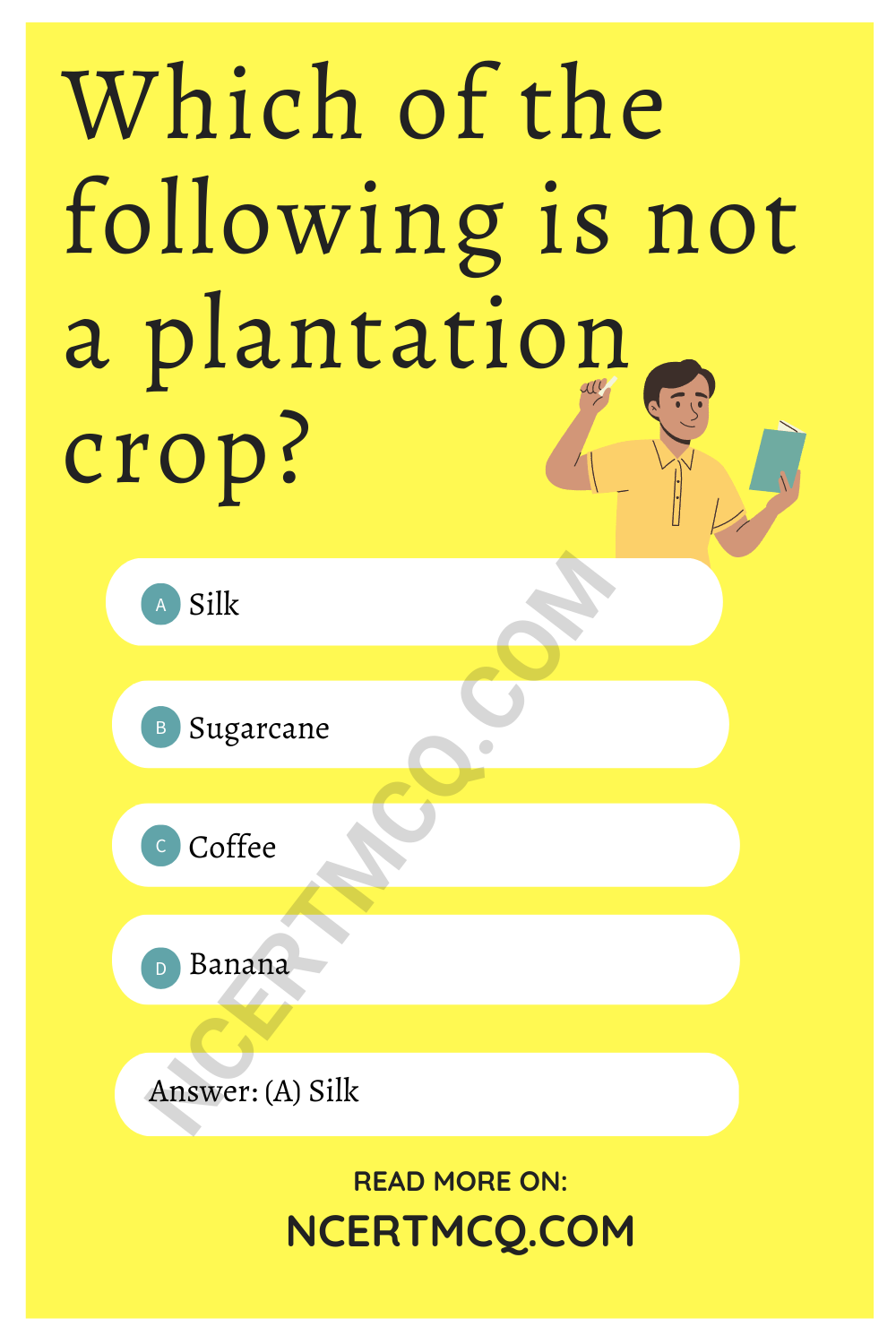 Which of the following is not a plantation crop?
